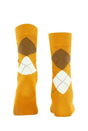 Burlington 22073 1314 solar