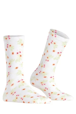 Burlington 27178 2000 white