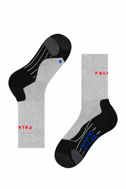 Носки Falke Ess 16139 3403 light grey