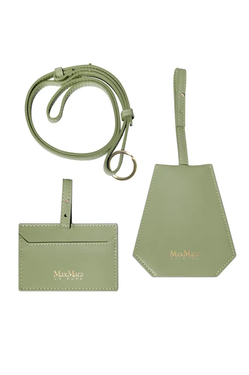 Аксессуары Max Mara Leisure RAZZA 241672101 001 SAGE GREEN