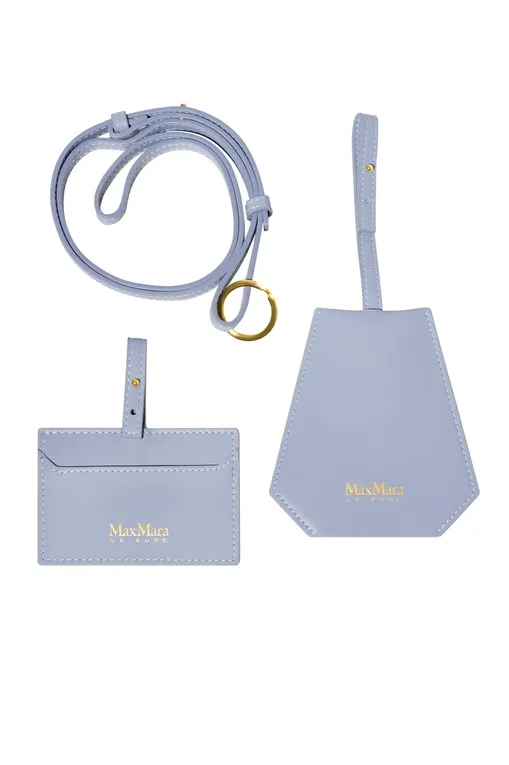 Аксессуары Max Mara Leisure RAZZA 241672101 003 LIGHT BLUE