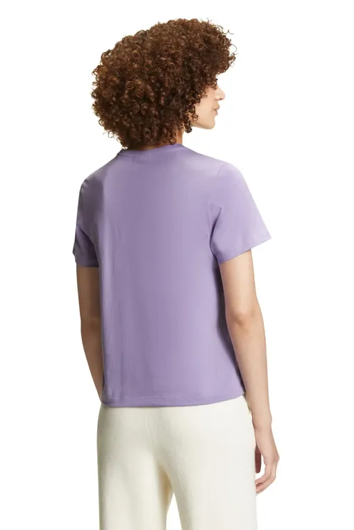 Футболки Falke 66209 6901 lavender