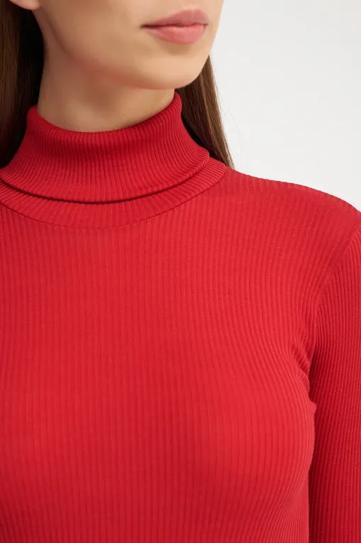 Водолазки Artimaglia 54904 227 LACCA