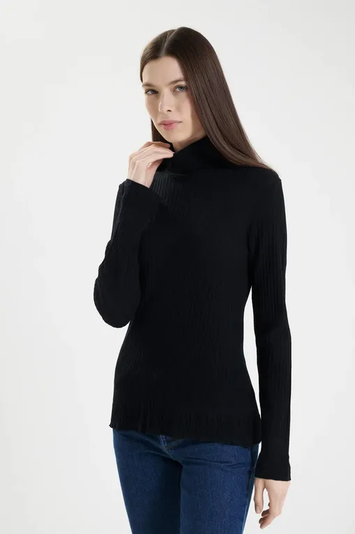 Водолазки Artimaglia 85104 15 NERO