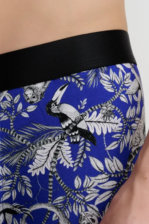 Трусы AUBADE XB58T JUNGLE LIFE