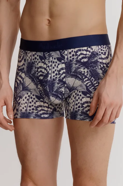 Трусы AUBADE XB78T PLUMES MARIN