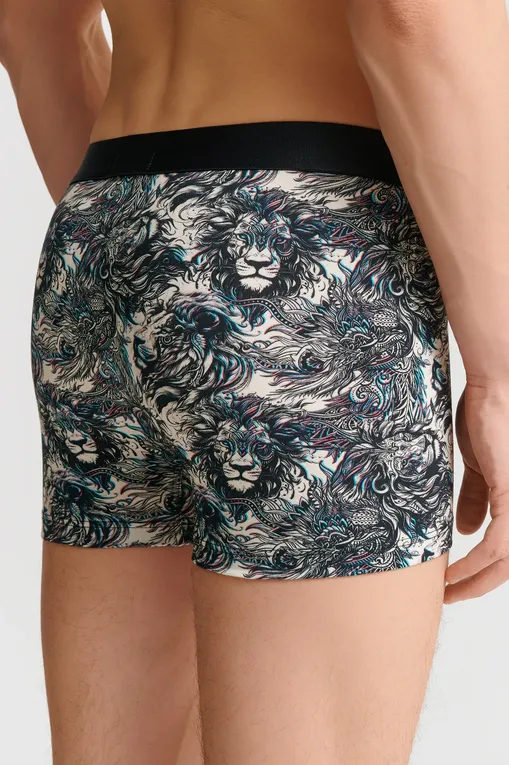 Трусы AUBADE XB78T LION