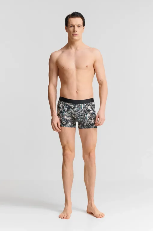 Трусы AUBADE XB78T LION