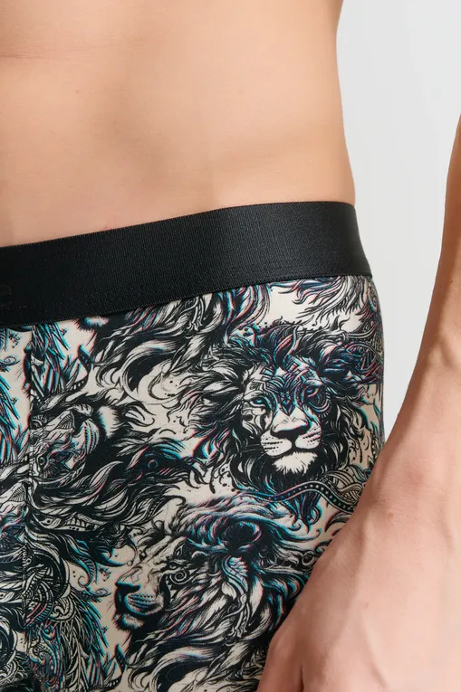 Трусы AUBADE XB78T LION