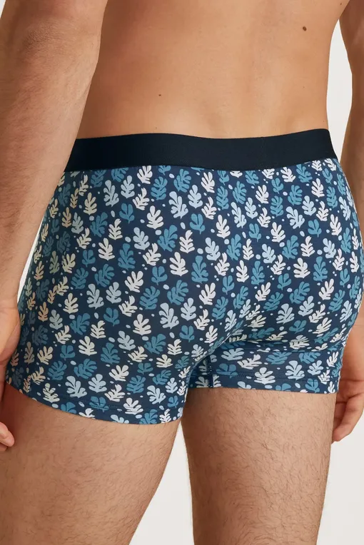 Трусы Calida 26980 375 niagara blue