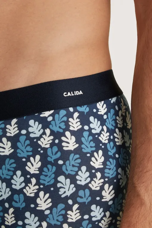 Трусы Calida 26980 375 niagara blue
