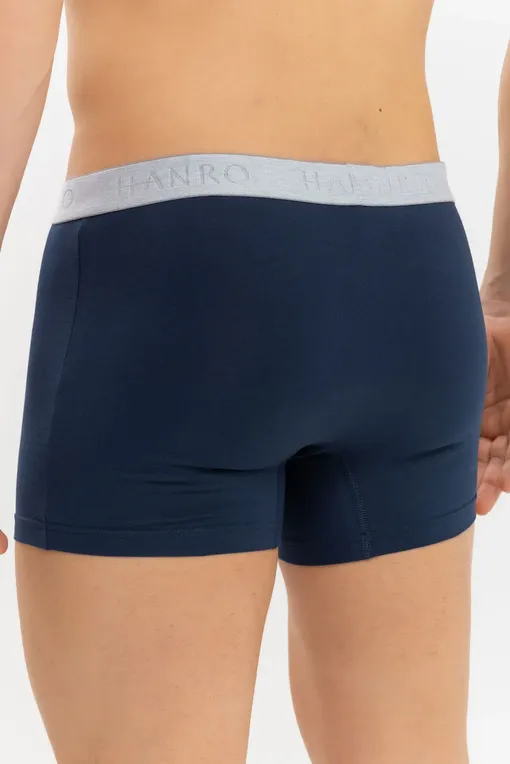 Трусы Hanro 073078 2896