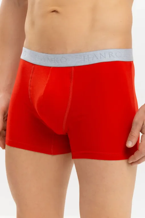 Трусы Hanro 073078 2896