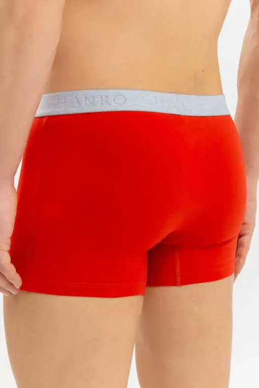 Трусы Hanro 073078 2896