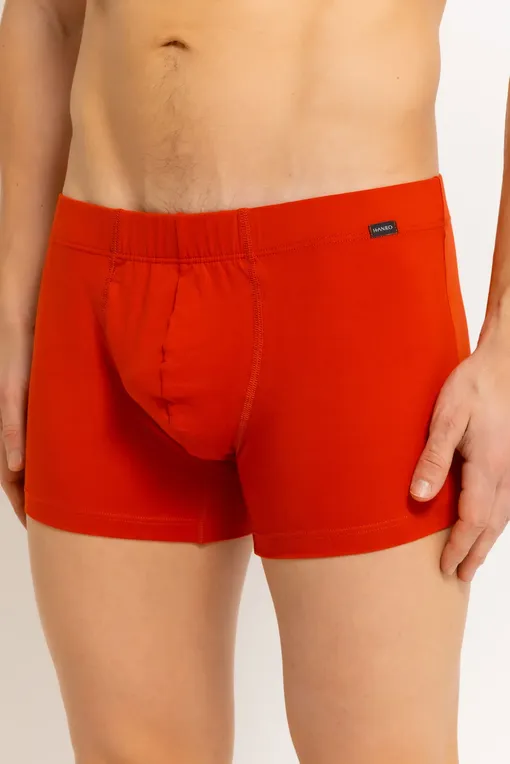 Трусы Hanro 073079 2896