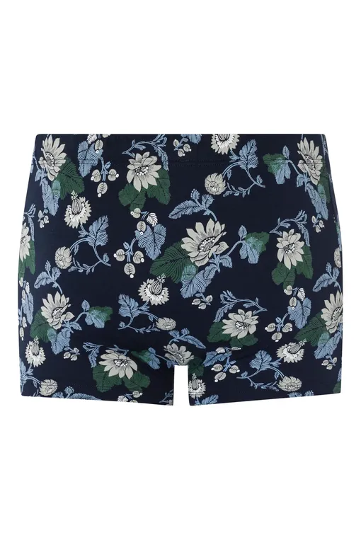 Трусы Hanro 073289 1251