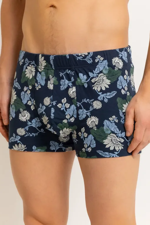 Трусы Hanro 073289 1251