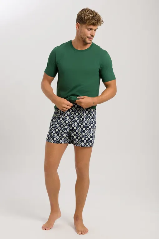 Трусы Hanro 074013 1231