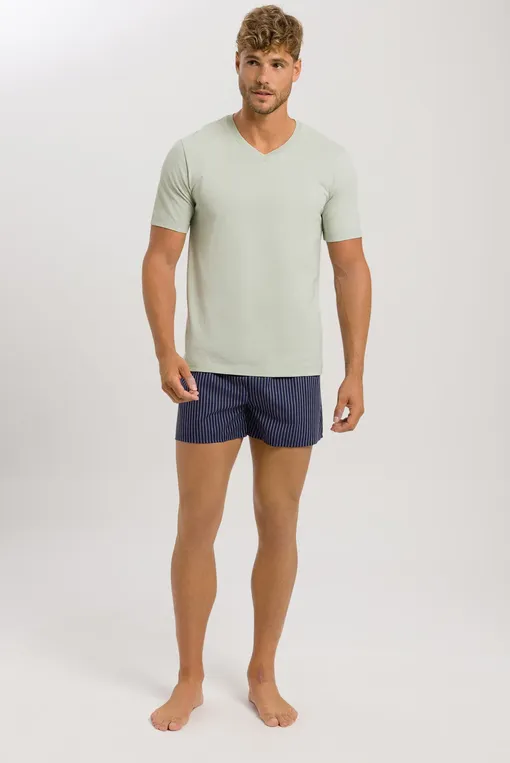 Трусы Hanro 074013 2877