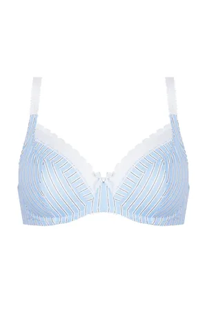 Antigel FCJ2821 BLEU LIQUETTE