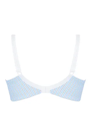 Antigel FCJ8021 BLEU LIQUETTE