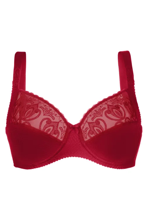 Бюстгальтеры Felina 205294 585 Granat