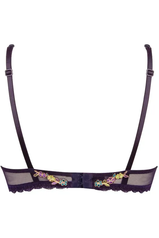 Бюстгальтеры Lise Charmel ACH3051 EMAUX CASHMER