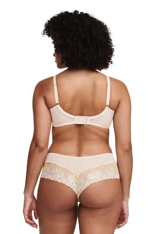 Трусы Chantelle C26040 0IB Golden beige multicolor