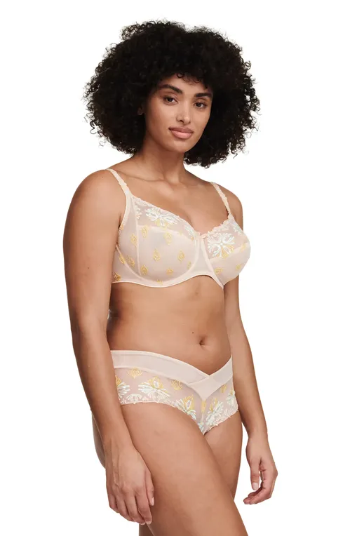 Трусы Chantelle C26040 0IB Golden beige multicolor